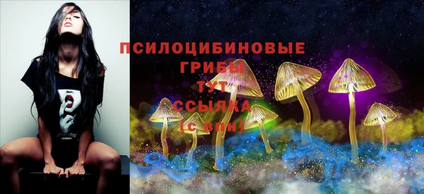 спайс Иннополис