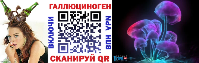 Псилоцибиновые грибы Cubensis  сколько стоит  Губаха 